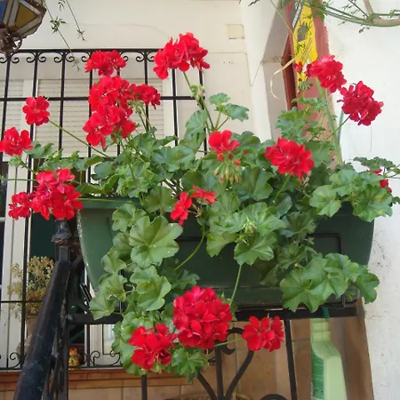 Casa Babylon Backpakers Хостел *
